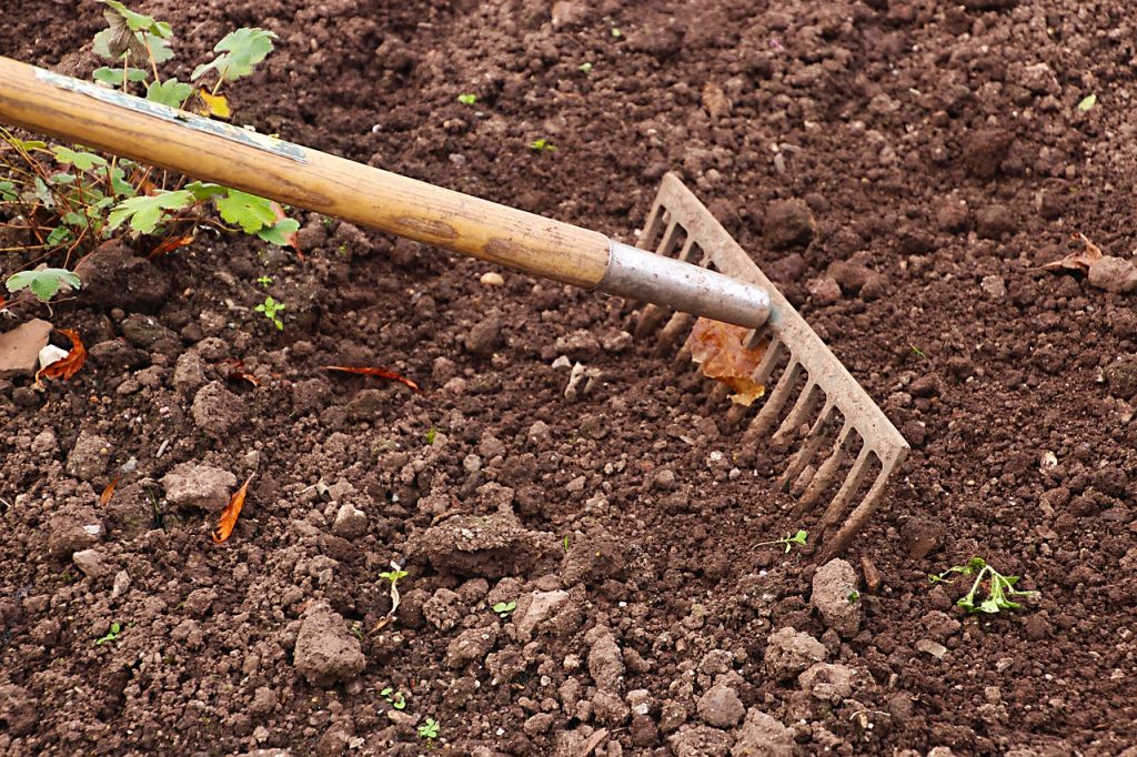 The Best Place for Gardening Tools